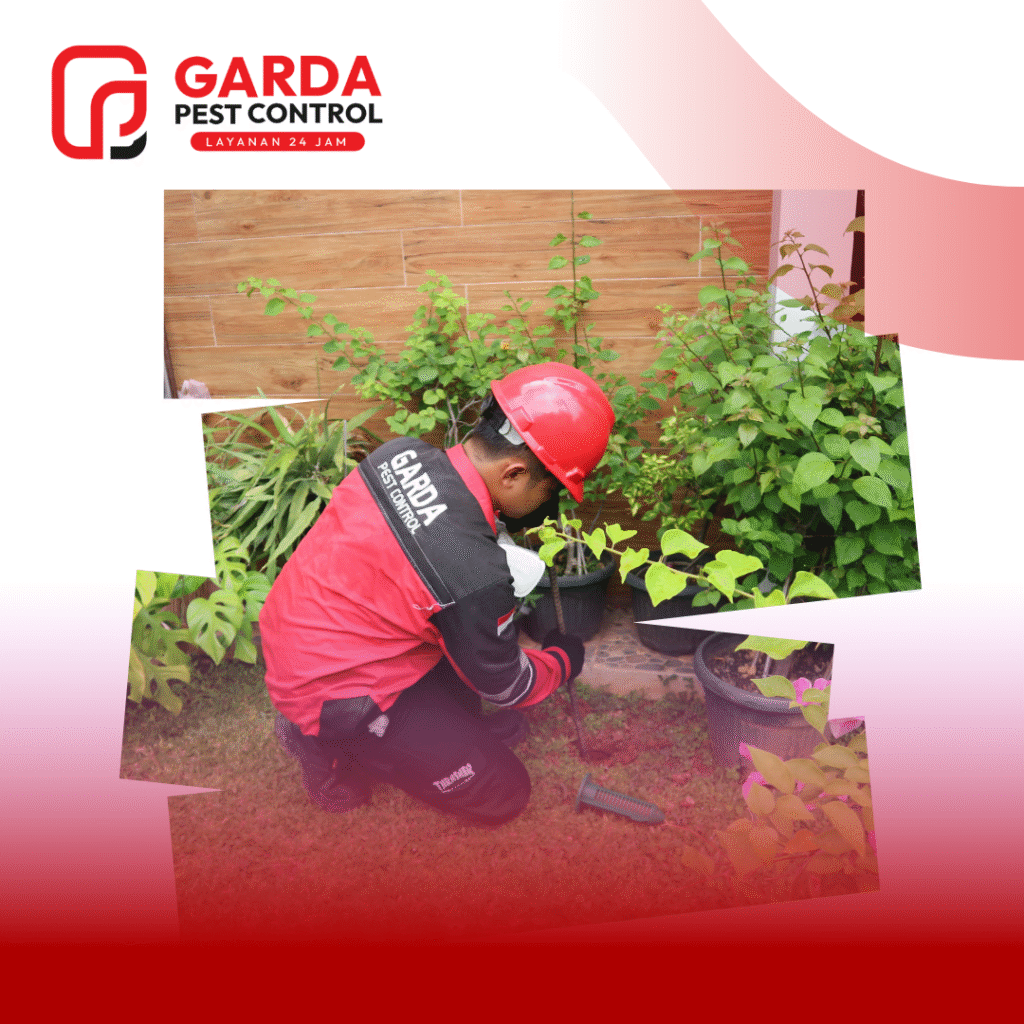 Jasa Basmi Rayap Sistem Umpan