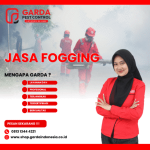 Vendor Jasa Fogging Nyamuk di Bali Berkualitas dan Pengalaman