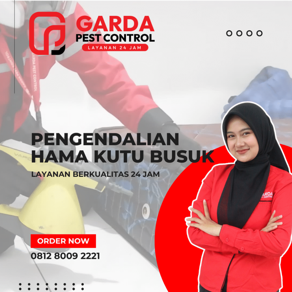 Jasa Pembasmi Kutu Kasur Kutu Busuk Tinggi Tumbila Terdekat