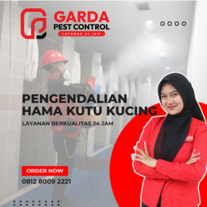 Jasa Pembasmi Kutu Kucing Terdekat Bergaransi