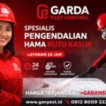 Jasa Pembasmi Kutu Kasur Terjamin Berkualitas