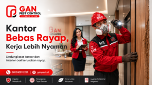 Jasa Pembasmi Rayap