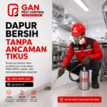 Jasa Pest Control di Bandung Barat No.1 Spesialis Pembasmi Tikus