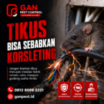 Jasa Pest Control di Bangkalan No.1 Spesialis Pembasmi Tikus