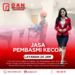 Jasa Pembasmi Kecoa Depok di Tempat Kuliner & Wisata