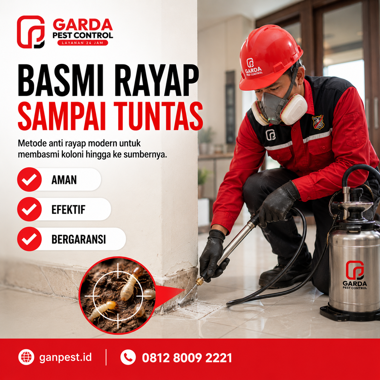 Panduan Lengkap Biaya Jasa Anti Rayap Cirebon: Estimasi Harga dan Cara Hemat Lindungi Properti Anda