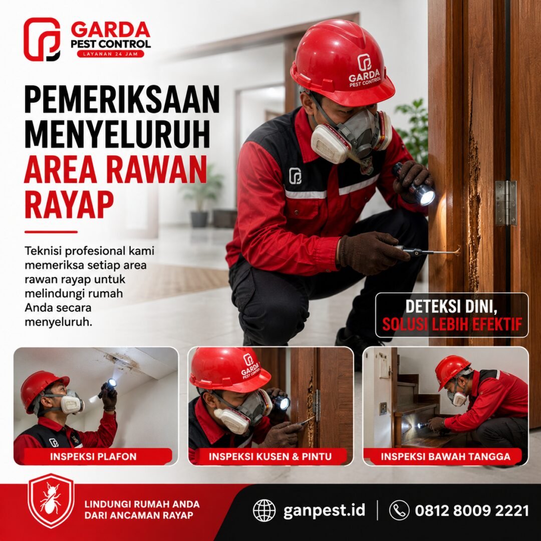 Cara Membasmi Rayap Cirebon: Panduan Lengkap & Solusi Tuntas dari Ahli