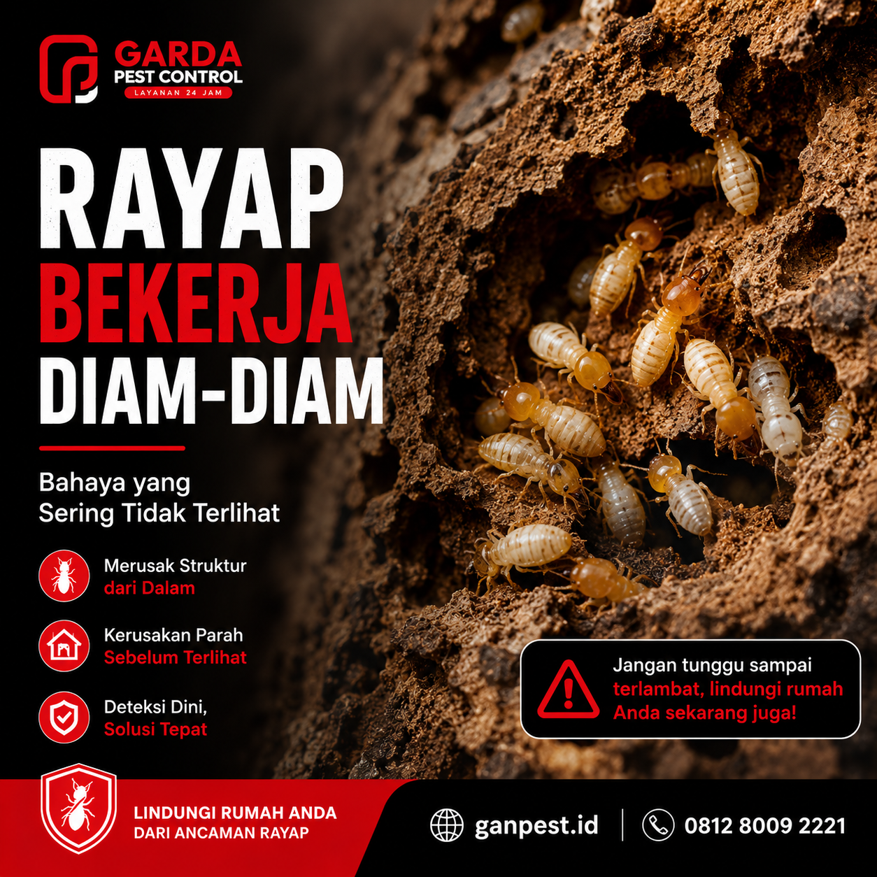 Konsultan Anti Rayap Cirebon: Mengatasi Masalah Rayap dengan Efektif