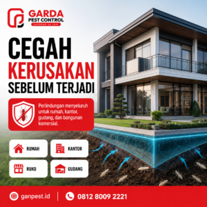 Spesialis Anti Rayap Cirebon: Solusi Profesional Penanganan Rayap