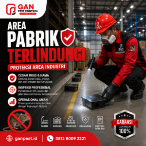 Harga Jasa Pembasmi Tikus Tangerang untuk Lingkungan Bersih