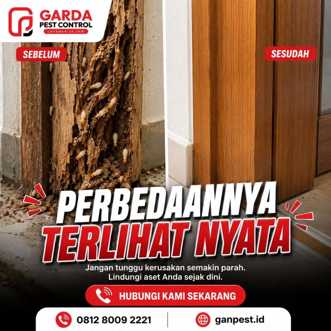 Suntik Rayap Tangerang: Perlindungan Total dari Ancaman Rayap untuk Properti Anda