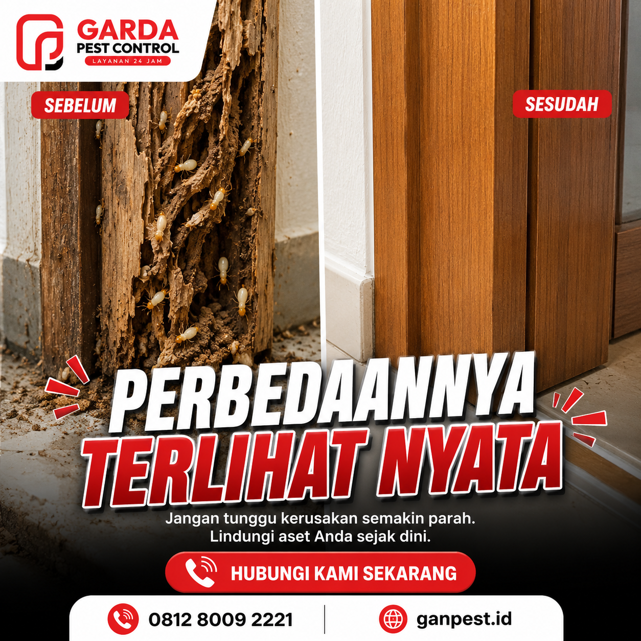 Suntik Rayap Tangerang: Perlindungan Total dari Ancaman Rayap untuk Properti Anda
