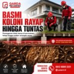 Biaya Jasa Anti Rayap Per Meter di Solo: Panduan Tarif dan Layanan