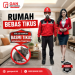 Jasa Pest Control di Bandung No.1 Spesialis Pembasmi Tikus