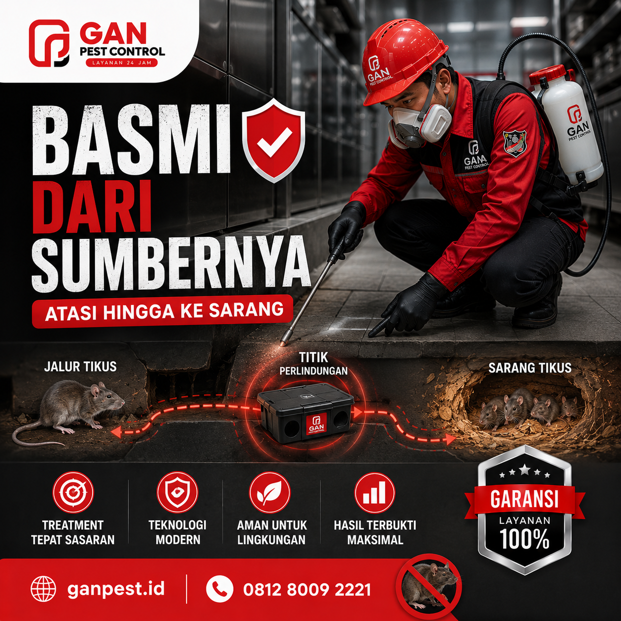 Jasa Pembasmi Tikus Tangerang Terbukti Efektif dan Aman