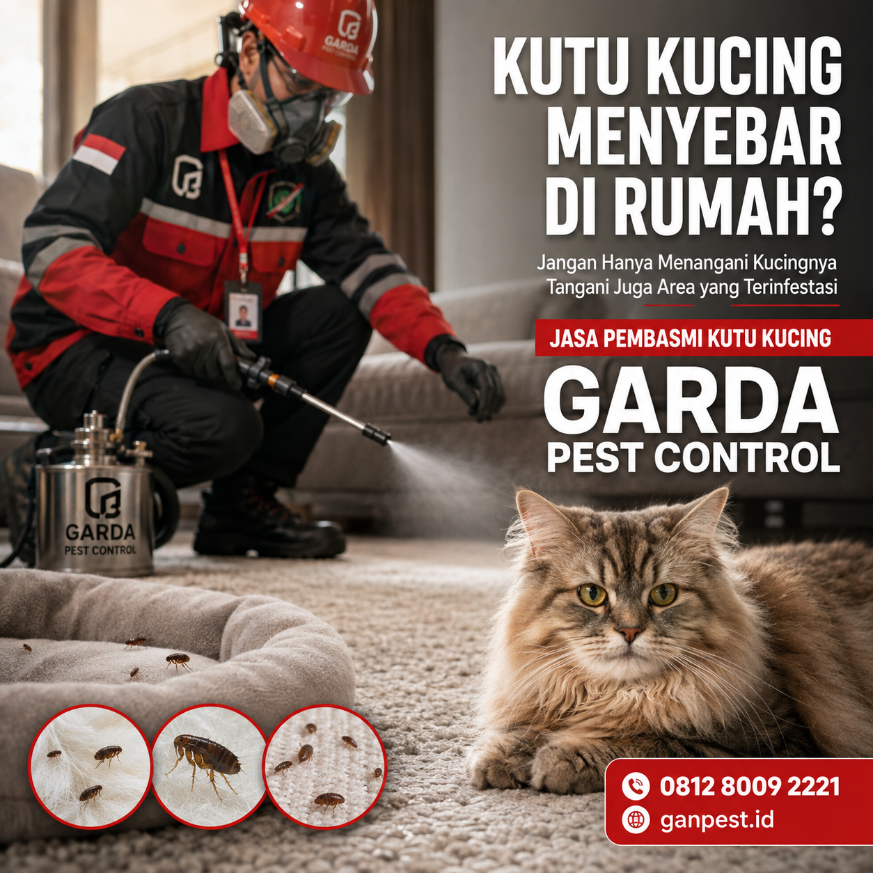 Biaya Jasa Pembasmi Kutu Kucing di Tangerang dan Panduan Lengkapnya