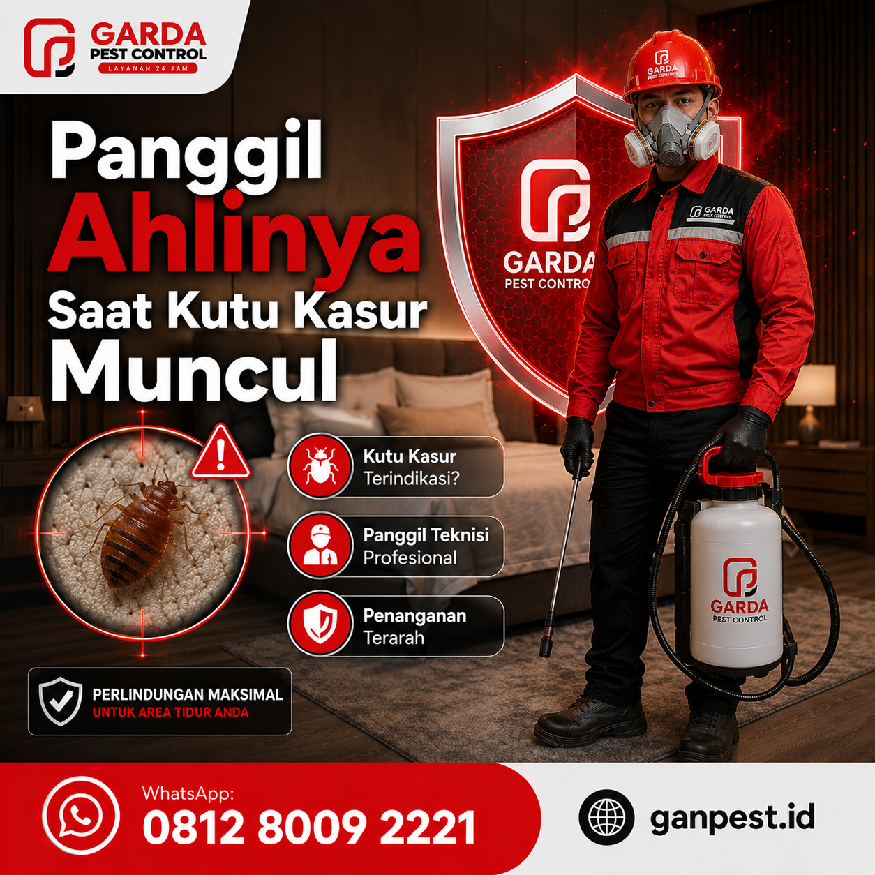 Panduan Praktis dan cara merawat kasur setelah proses pembasmian kutu