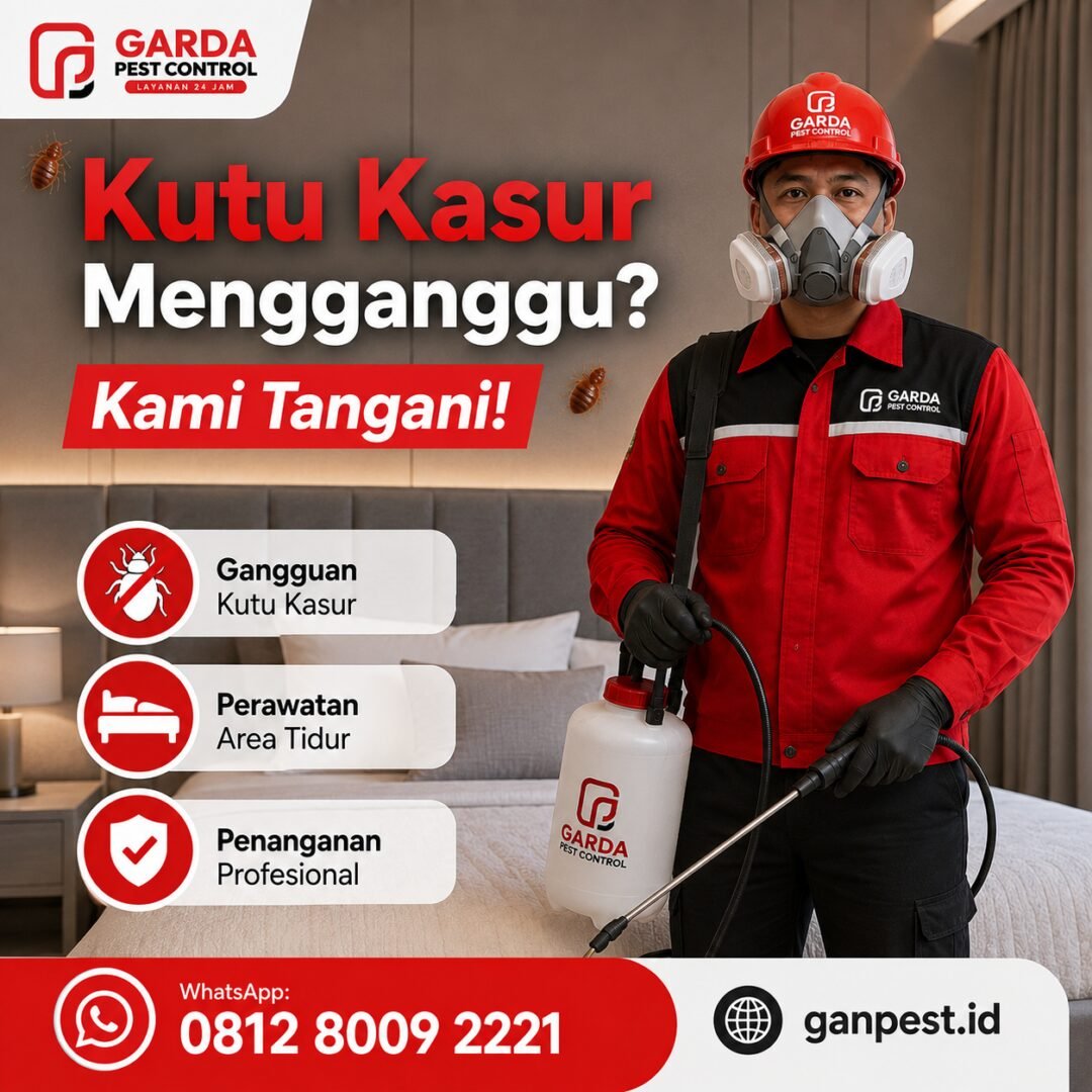 Jasa Pembasmi Kutu Kasur untuk Kost dan Hotel Tangerang